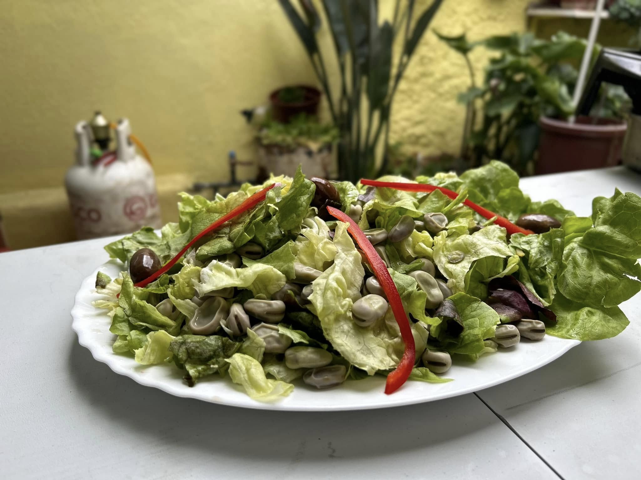 Portafolio